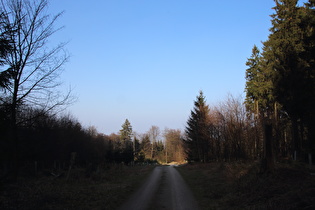 Blick von der Hohen Warte nach Nordosten