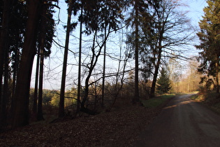 Abfahrt auf dem Polenz-Weg, Blick nach Nordosten