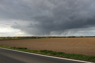 westlich von Northen, Blick über das Große Holz nach Norden