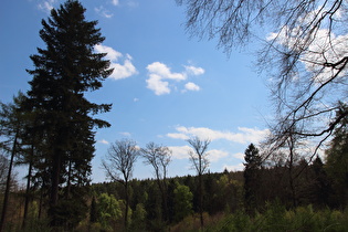 Anstieg von Barsinghausen, Blick nach Südosten