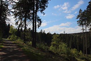 Blick zum Fernmeldeturm auf dem Großen Hals