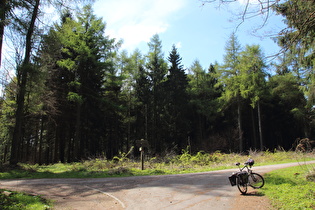 Anstieg von Barsinghausen, oberes Ende, Blick zum Kammweg