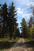 Kammweg, Blick nach Südosten