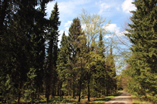 etwas weiter, Blick nach Nordwesten