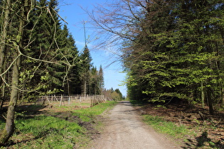 Blick vom Reinekensiekskopf nach Nordosten