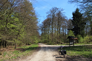 Reinekensiekskopf, erster Sattelpunkt der Tour