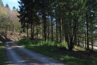 etwas entfernterer Blick auf die Kehre