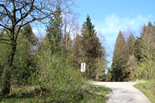 Blick zum Stern mit querendem Kammweg