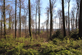 Blick vom Kammweg nach Südwesten