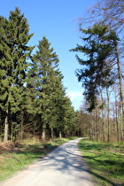 Kammweg, Blick nach Südosten