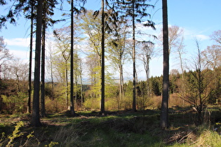 Blick vom Nordosthang des Deisters nach Nordosten