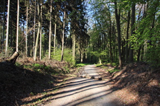 und noch weiter unten ein kleiner Baum quer über den Weg