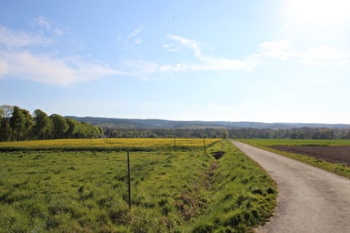 westlich von Wennigsen, Blick zum Deister