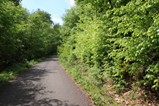 Bierweg, Blick bergauf