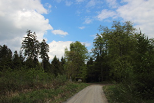 Blick über den Kammweg zur Laube