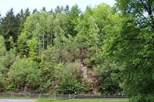 Sandsteinfelsen im Rumohrtal