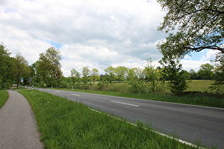 zwischen Neuhaus i. S. und Silberborn, Blick bergauf nach Osten