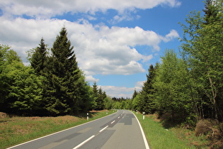 zwischen Torfhaus und Große Blöße, Blick nach Nordosten