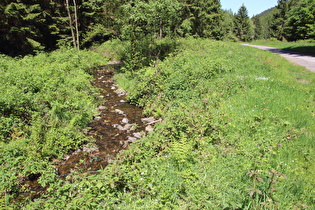 die Abzucht, Blick flussabwärts …