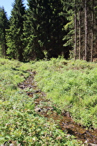 … und Blick flussaufwärts