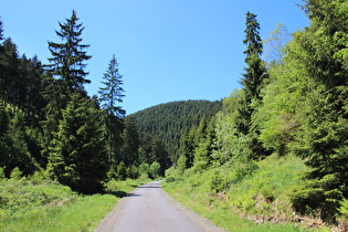 Kunsteinweg, Blick bergauf …