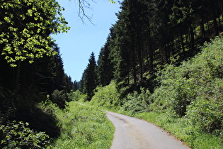 Kunsteinweg, weiter oben, Blick bergauf