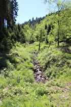 die Abzucht, Blick flussaufwärts