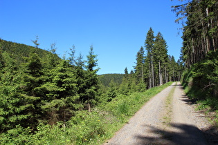 Kunsteinweg zwischen de beiden Kehren, Blick nach Norden