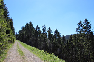 Kunsteinweg oberhalb der oberen Kehre, Blick nach Süden …