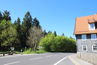 Auerhahn, Blick nach Norden …