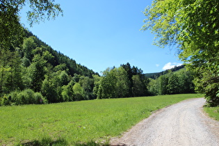 Thumkuhlental, Blick vom unteren Ende bergauf