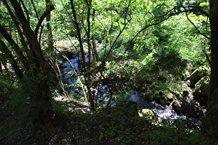 … und Blick flussabwärts