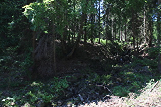 Braunes Wasser, Blick flussaufwärts