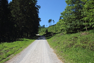 Thumkuhlental, Blick bergauf