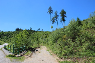 Blick nach Südwesten zur Scheibenklippe