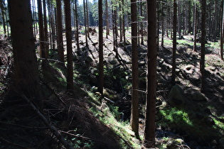 Braunes Wasser, Blick flussaufwärts …