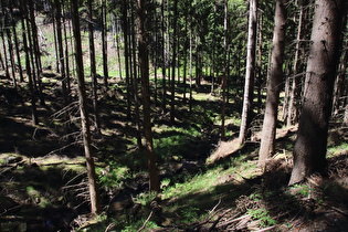 … und Blick flussabwärts