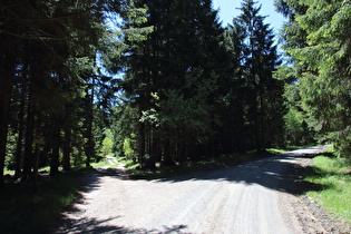 Glashüttenweg, unteres Ende