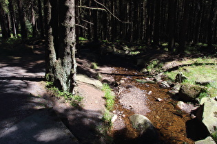 … und Blick flussabwärts