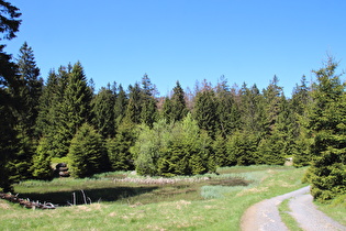 Jakobsbruch, Blick nach Norden