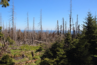 Brockenbett, Blick nach Südwesten …