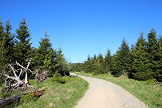 Blick vom Goetheweg zum Brocken