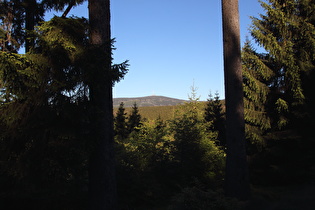 östlich unterhalb Torfhaus, Blick zum Brocken