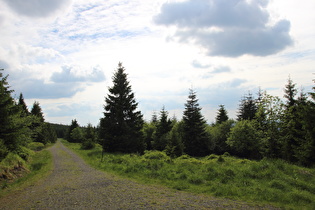 Blick von der Altenauer Hütte nach Westen