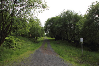 Blick von der L504 auf den Oberen Bruchbergweg