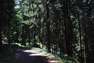 Südhang des Fuchsbachtals, Blick bergauf …