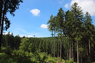 Blick zum Fernmeldeturm auf dem Großen Hals