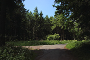 Anstieg von Barsinghausen, oberes Ende, Blick zum Kammweg