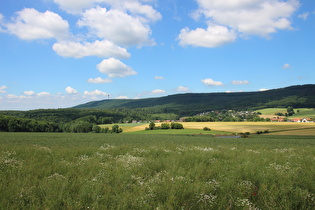 weiter oben, Blick nach Nordosten auf den nördlichen Deister, …