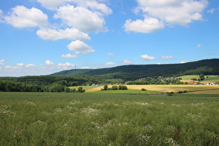 weiter oben, Blick nach Nordosten auf den nördlichen Deister, …